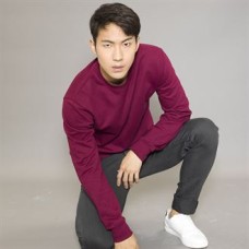 RX301 Sweatshirt Busch/ VFE logo